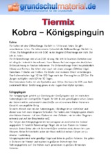 Kobra - Königspinguin.pdf